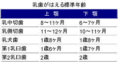 乳歯がはえる標準年齢